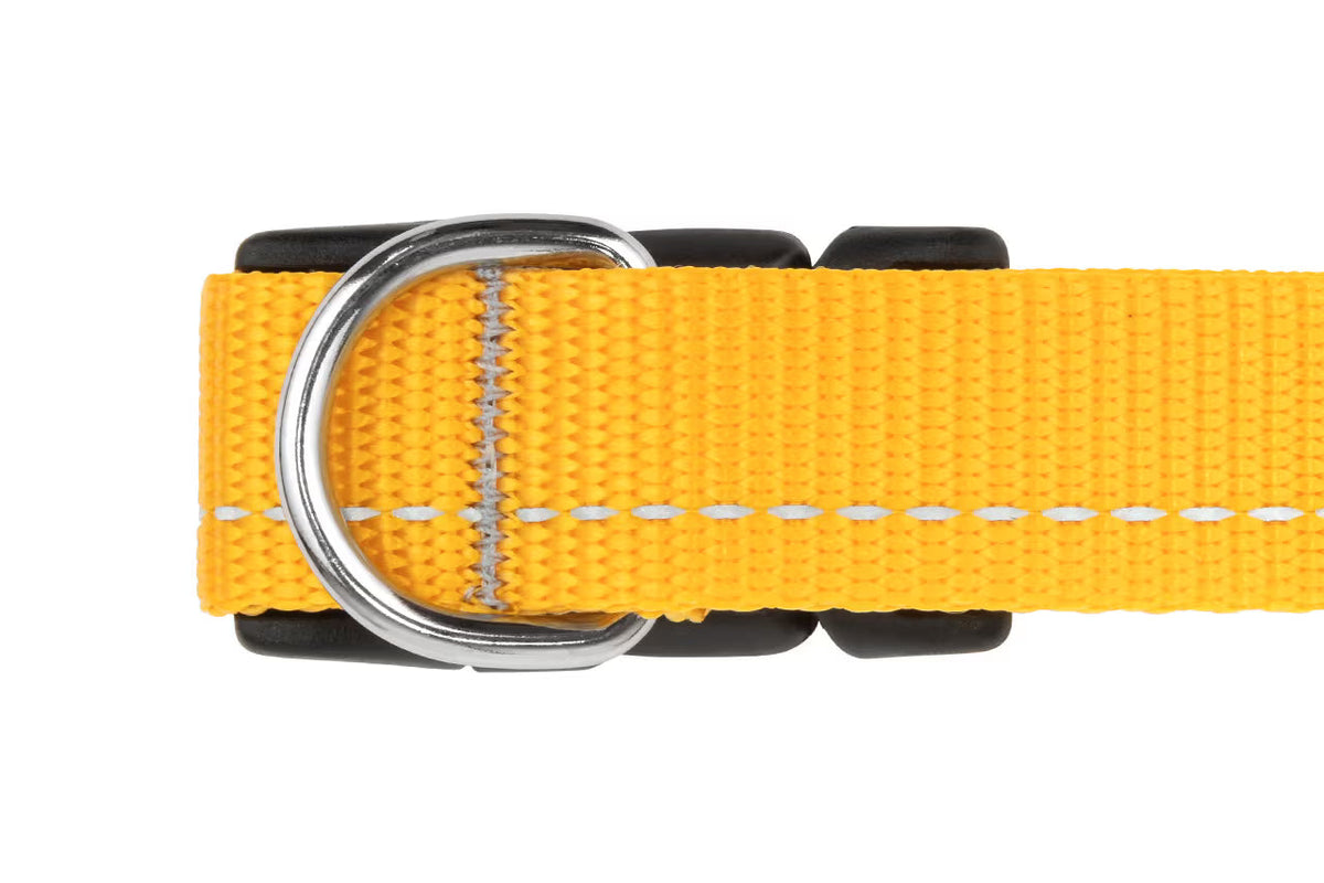 RC Pets Primary Dog Collar, Lilac