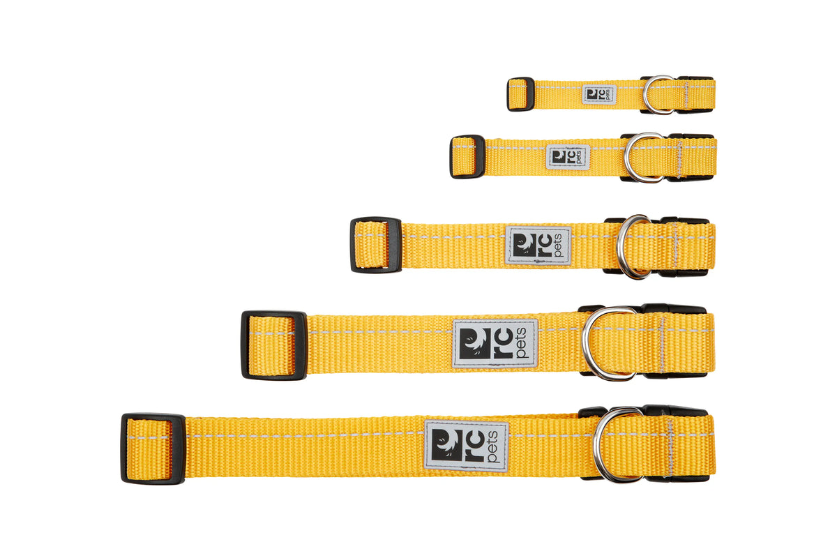 RC Pets Primary Dog Collar, Lilac