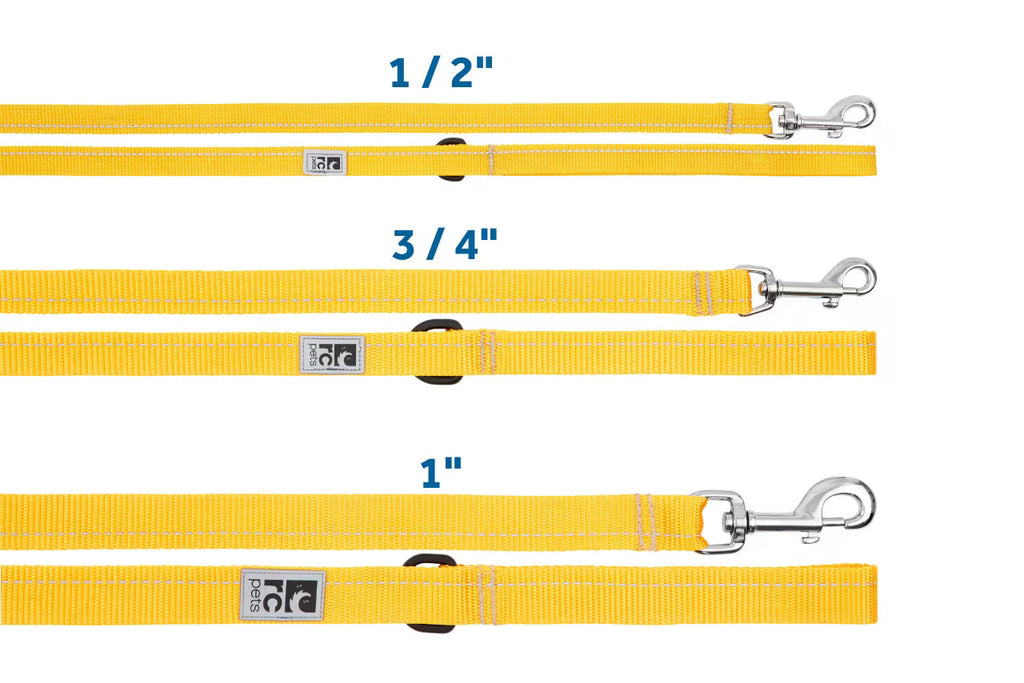 RC Pets Primary Dog Leash, Azalea