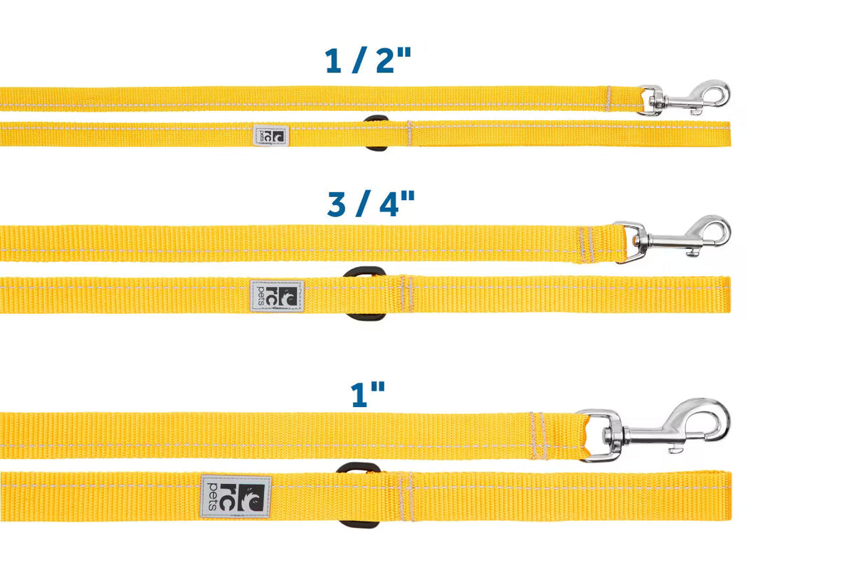 RC Pets Primary Dog Leash, Marigold
