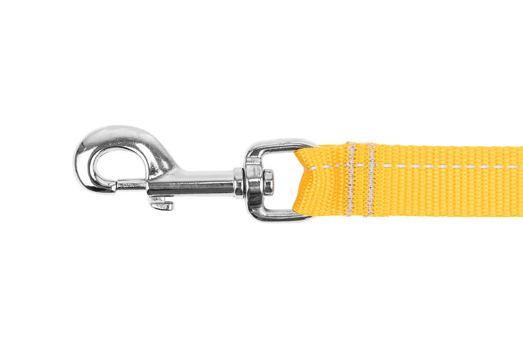 RC Pets Primary Dog Leash, Marigold
