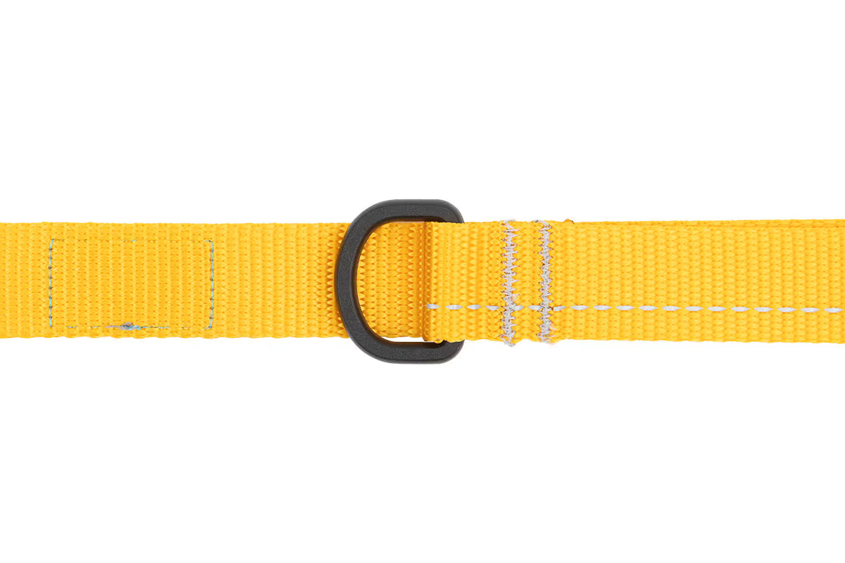 RC Pets Primary Dog Leash, Parakeet