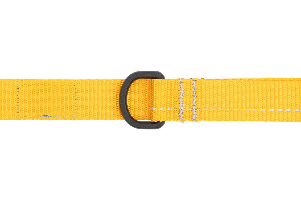 RC Pets Primary Dog Leash, Marigold
