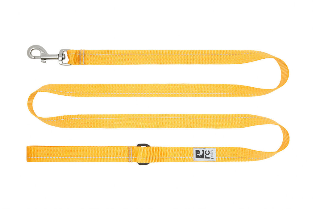 RC Pets Primary Dog Leash, Marigold