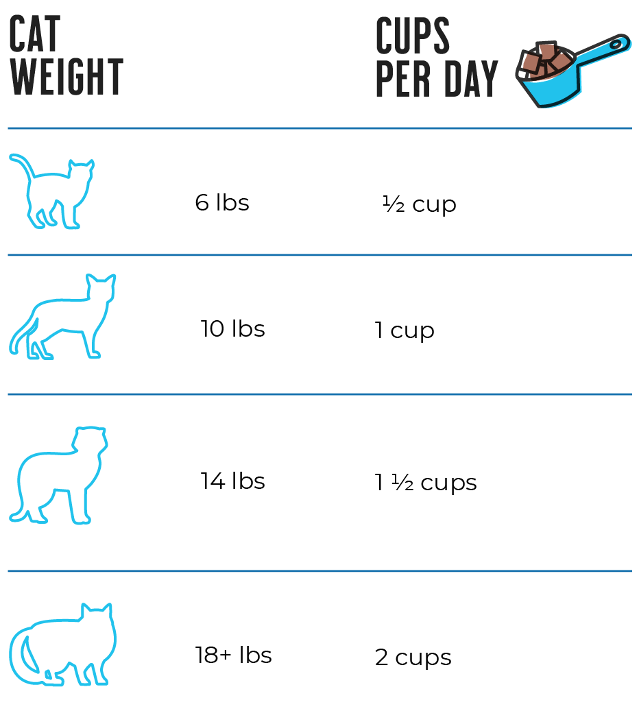 Raw Dynamic Freeze-Dried Raw Rabbit Formula With Bone Broth For Cats