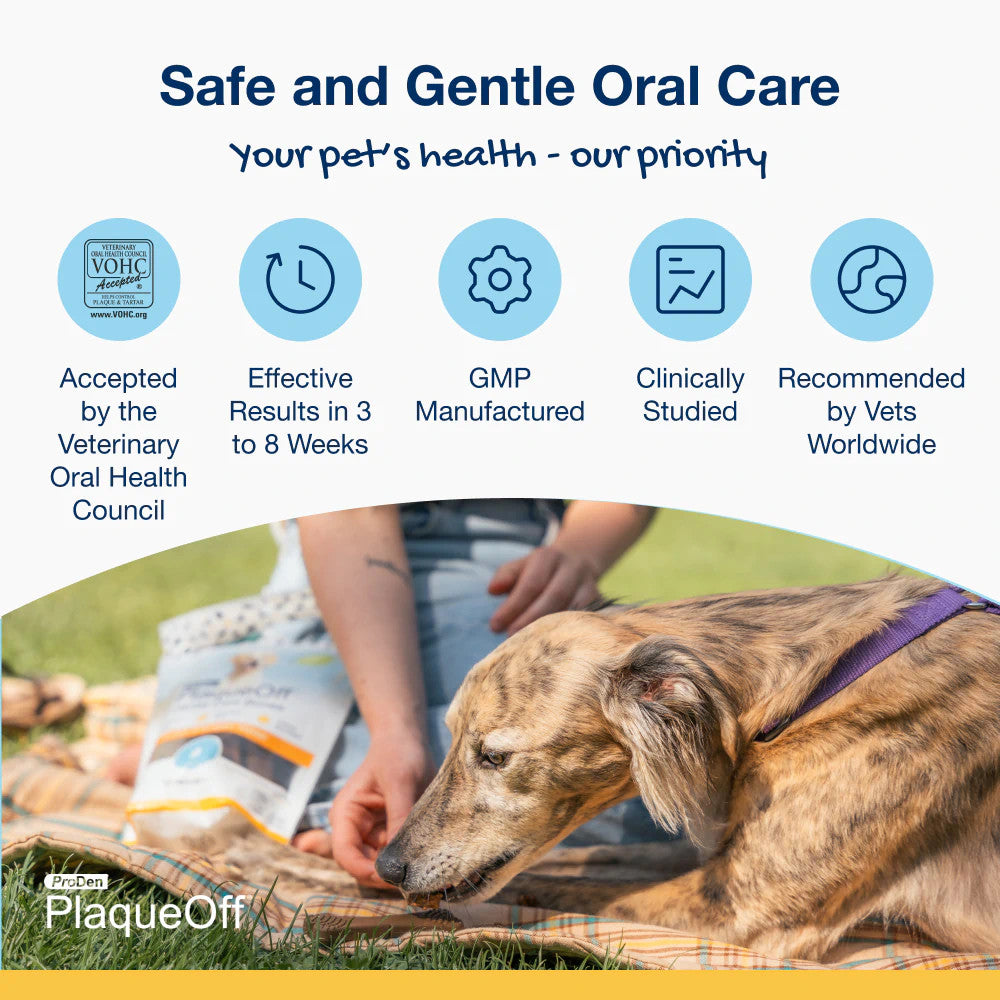 ProDen PlaqueOff Dental Care Bones Vegetable Fusion Flavored for Dogs