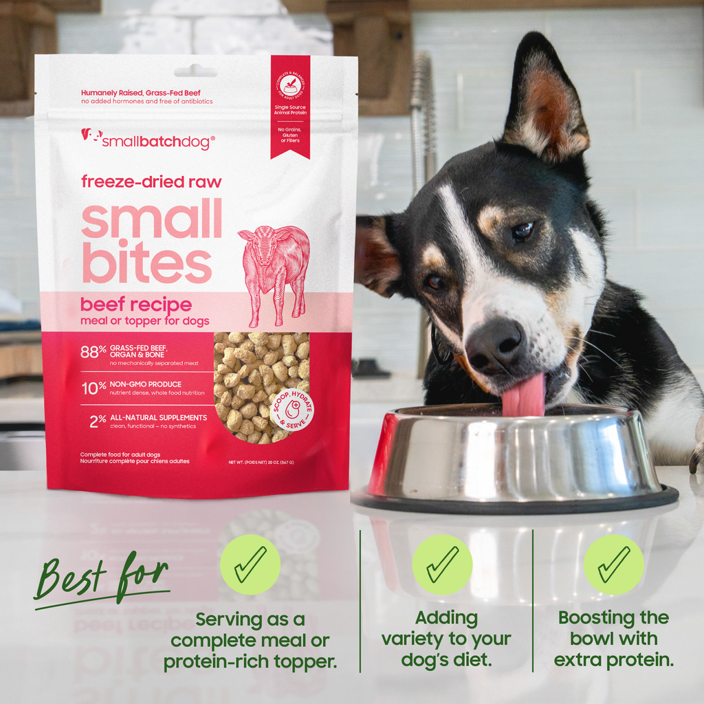 Small Batch Small Bites Freeze Dried Chicken Recipe Meal or Topper