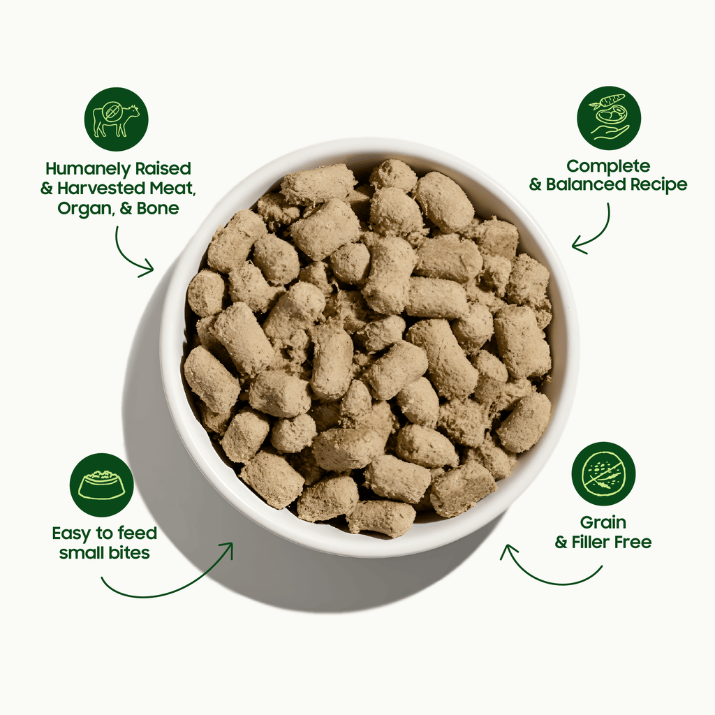 Small Batch Small Bites Freeze Dried Chicken Recipe Meal or Topper