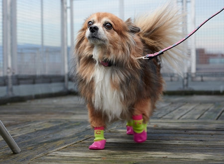 RC Pets Sporty PAWks Anti-Slip Charcoal Heather Dog Socks