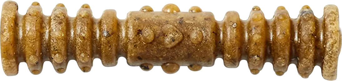 Stella & Chewy's X-Small Dental Delights Chicken & Parsley Flavor Dog Treats