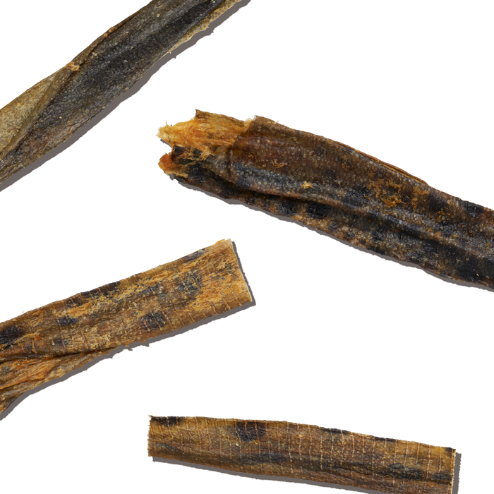 The Honest Kitchen BEAMS Grain Free Ocean Chews Wolffish Skin Dog Treats