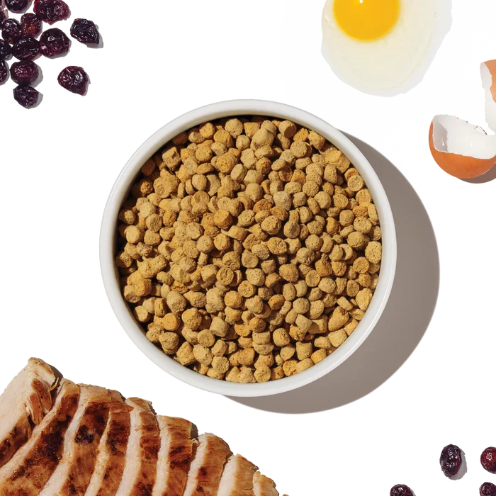The Honest Kitchen Grain Free Chicken Whole Food Clusters Cat Food