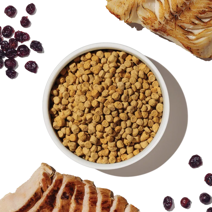 The Honest Kitchen Grain Free Chicken & Whitefish Whole Food Clusters Cat Food
