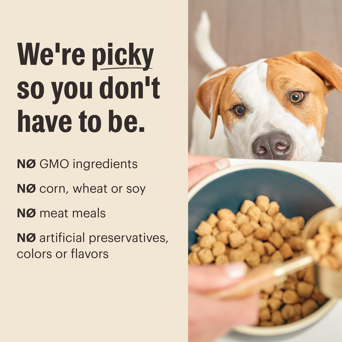 The Honest Kitchen Grain Free Turkey Recipe Whole Food Clusters Dry Dog Food