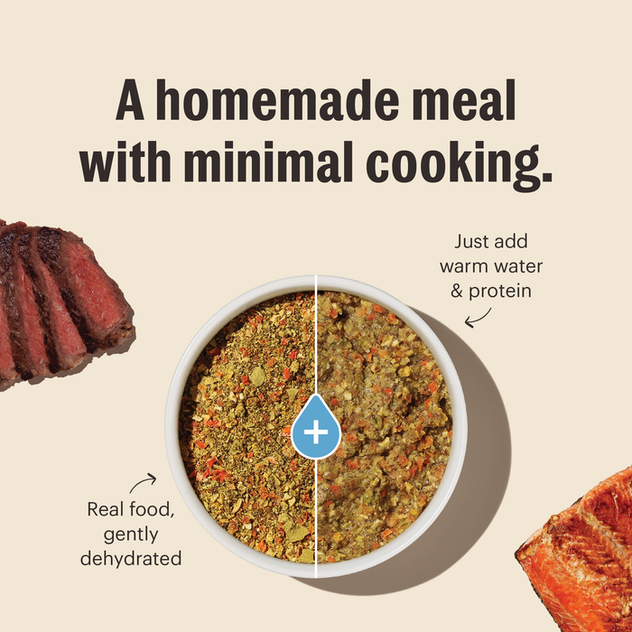 The Honest Kitchen Grain Free Fruit & Veggie Recipe Dog Food Base Mix