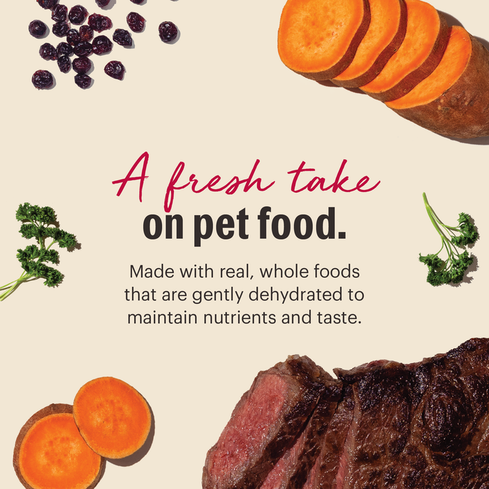The Honest Kitchen Grain Free Beef Recipe Dehydrated Dog Food