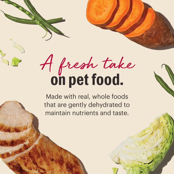 The Honest Kitchen Grain Free Chicken Recipe Dehydrated Dog Food