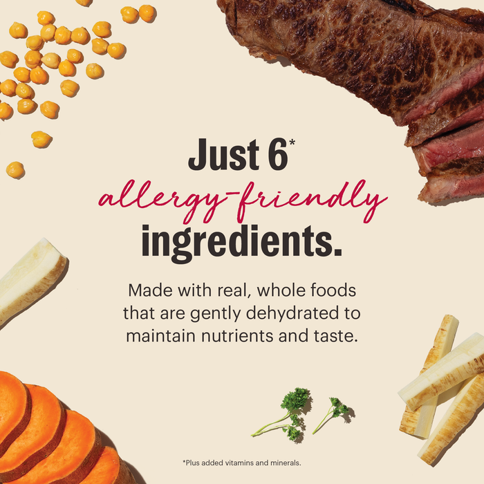 The Honest Kitchen Limited Ingredient Beef Recipe Dehydrated Dog Food