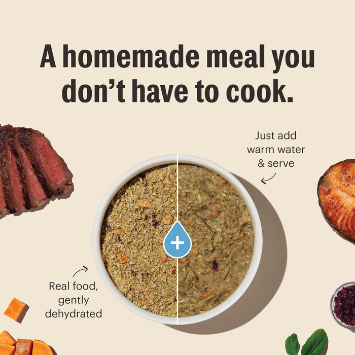 The Honest Kitchen Whole Grain Turkey Recipe Dehydrated Dog Food