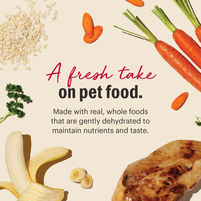 The Honest Kitchen Whole Grain Chicken Recipe Dehydrated Dog Food
