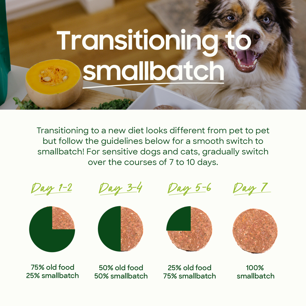 Small Batch Small Bites Freeze Dried Chicken Recipe Meal or Topper