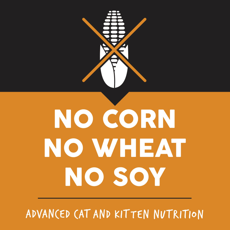 Ultimates Complete Indoor Dry Cat Food