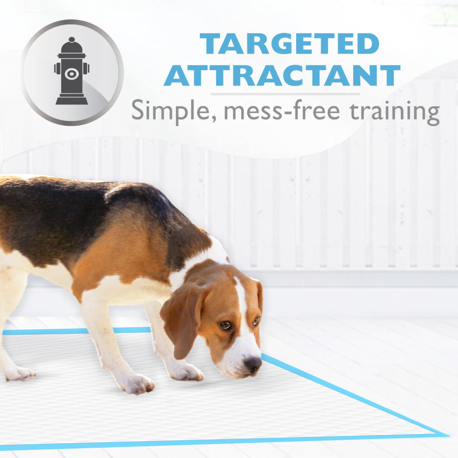 Bradshaw Animal Shelter Potty Training Pads