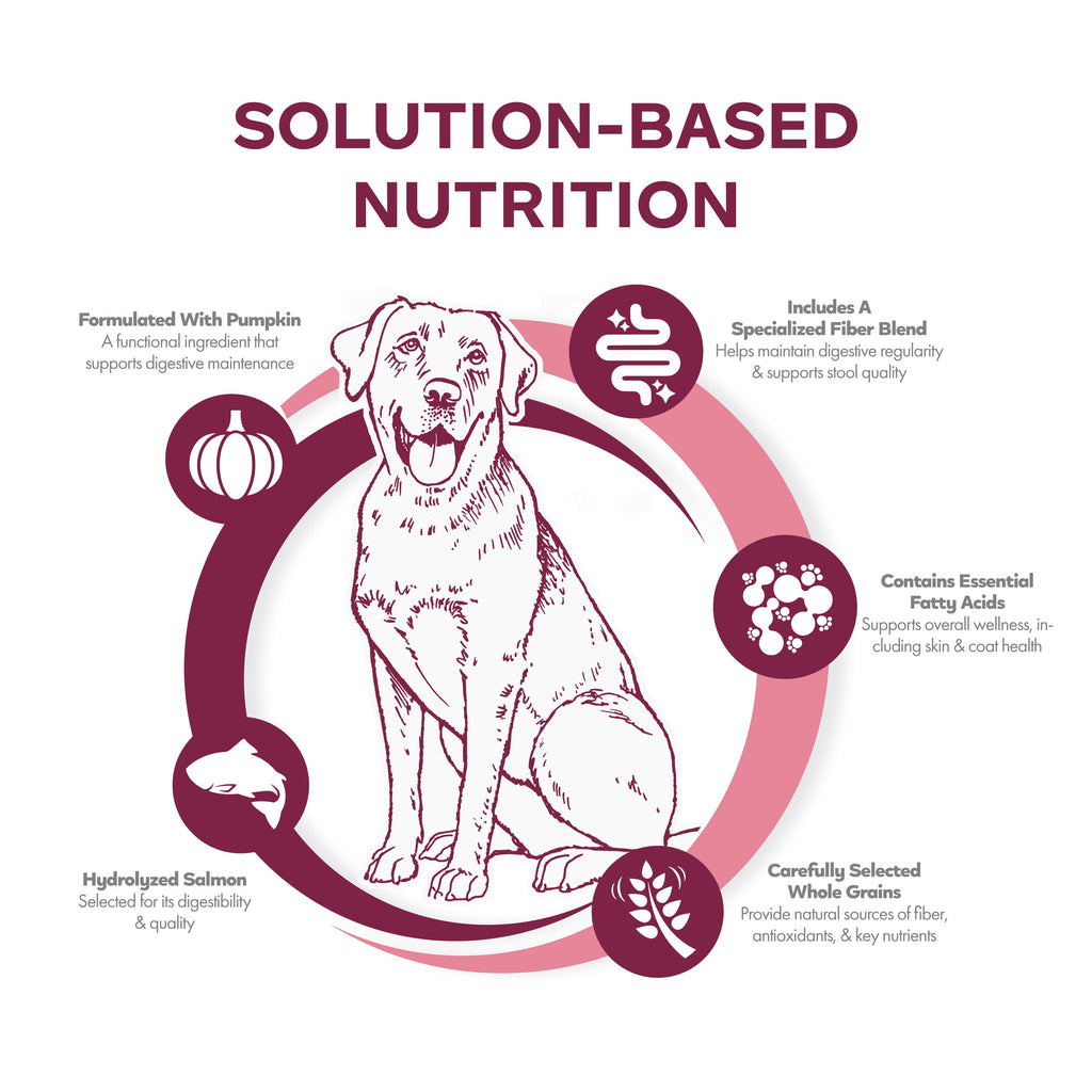 Fromm Nutritionals Sensitive Skin & Stomach Salmon & Whole Oats Recipe Dry Dog Food