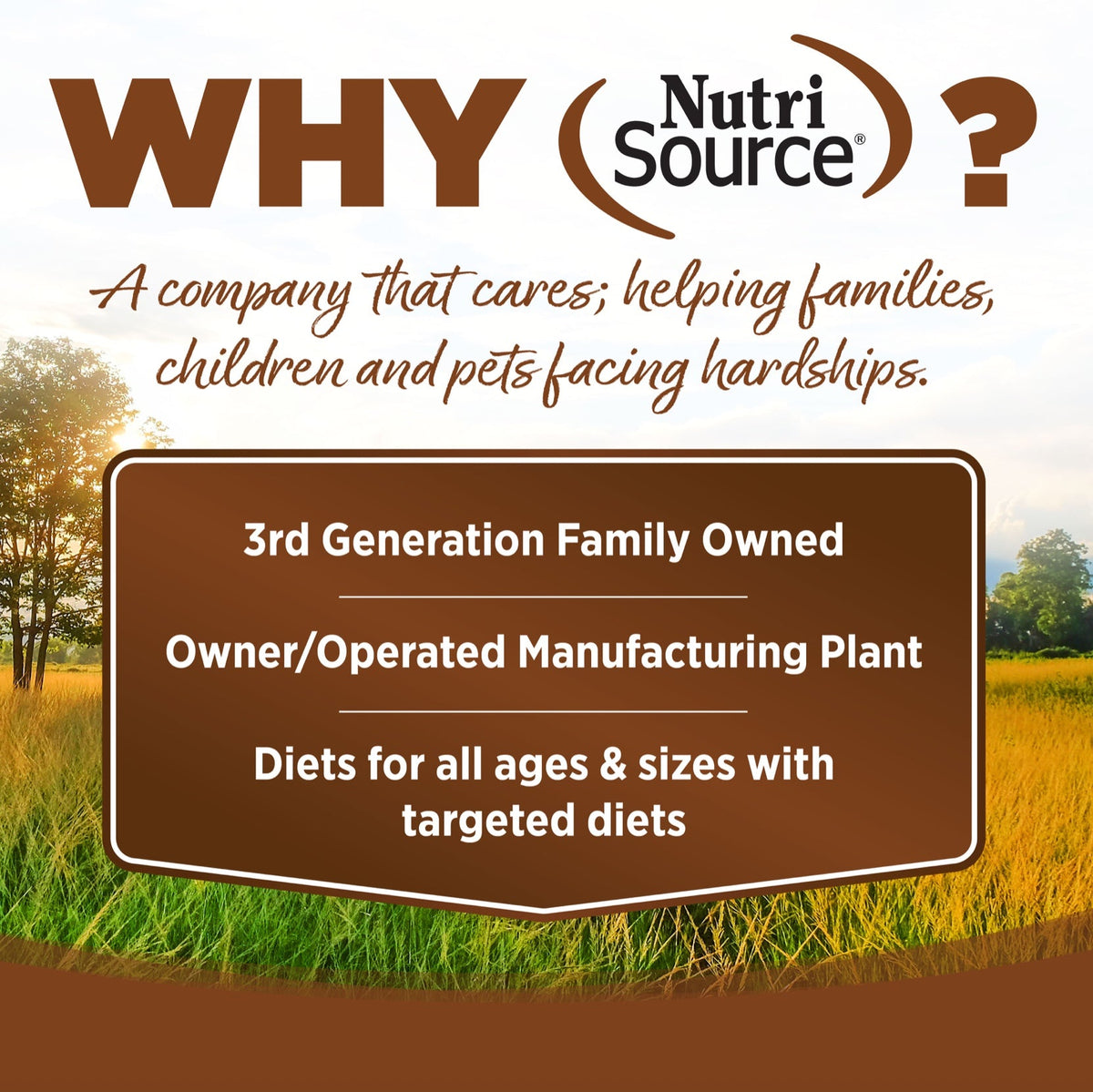 NutriSource Large Breed Adult Lamb and Rice Dry Dog Food