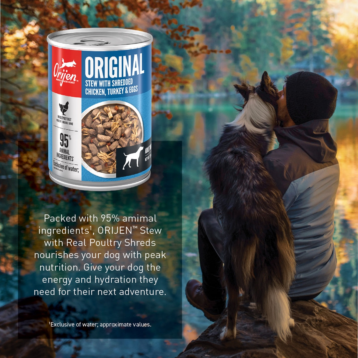 Orijen Premium Original Chicken,Turkey & Eggs Stew Recipe Canned Dog Food