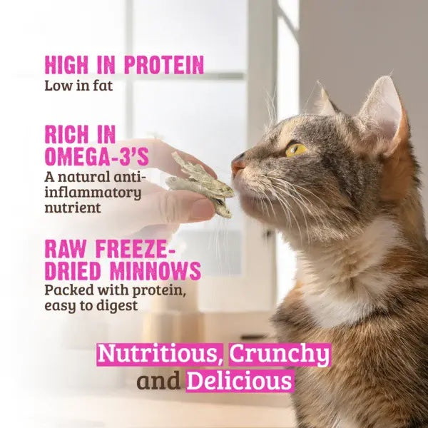 RAWZ Minnows Freeze Dried Cat Treats