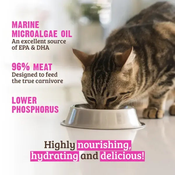 RAWZ Reduced Phosphorous Beef Pâté Canned Cat Food