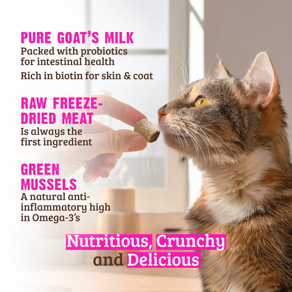 RAWZ Salmon & Goat's Milk Freeze Dried Cat Treats