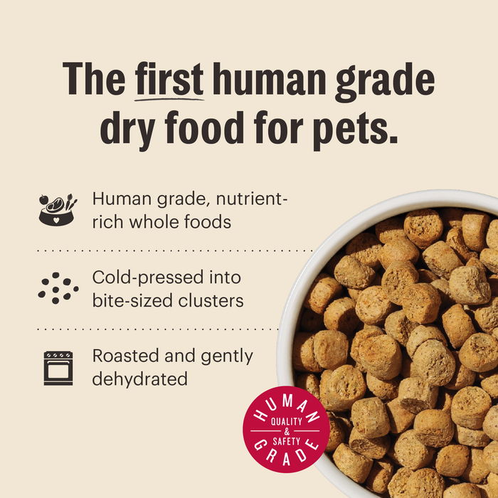 The Honest Kitchen Grain Free Chicken Recipe Whole Food Clusters Dry Dog Food