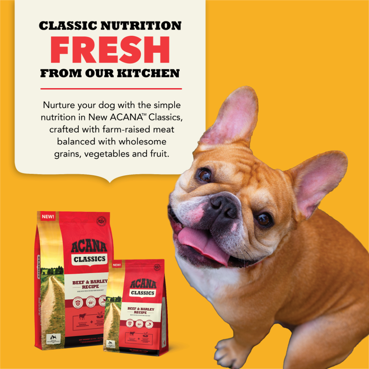 ACANA Classics Beef & Barley Dog Food
