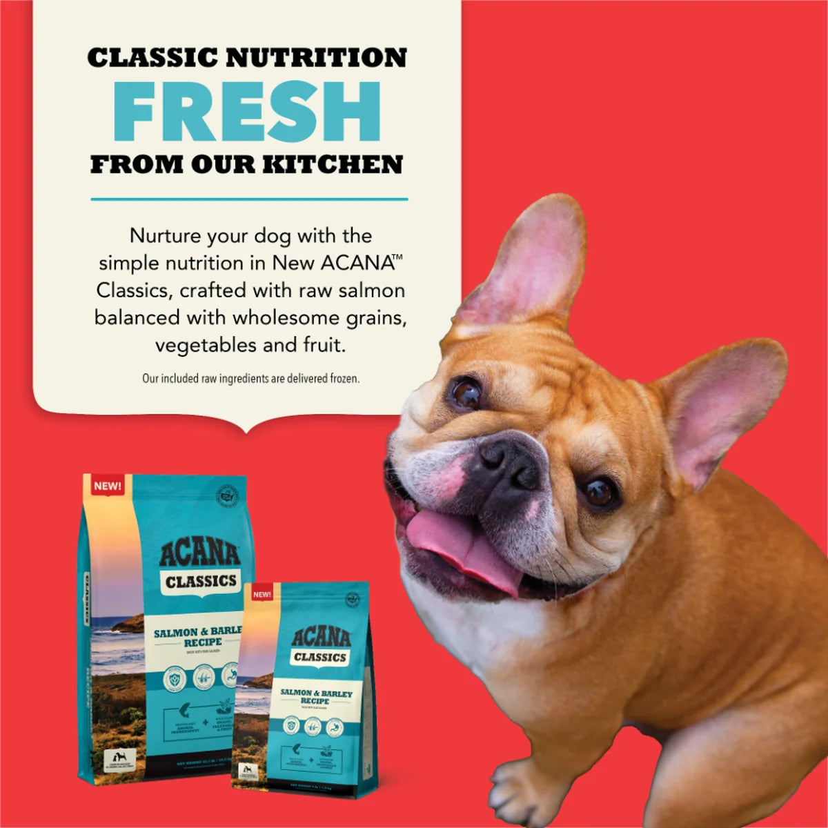 ACANA Classics Salmon & Barley Dog Food