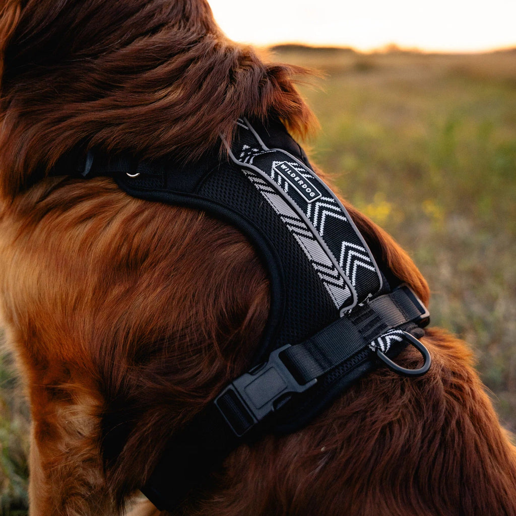 Wilderdog Dog Harness, Black