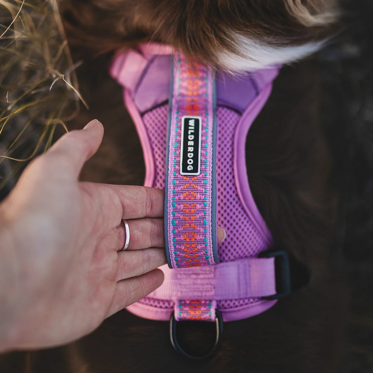 Wilderdog Dog Harness, Lilac