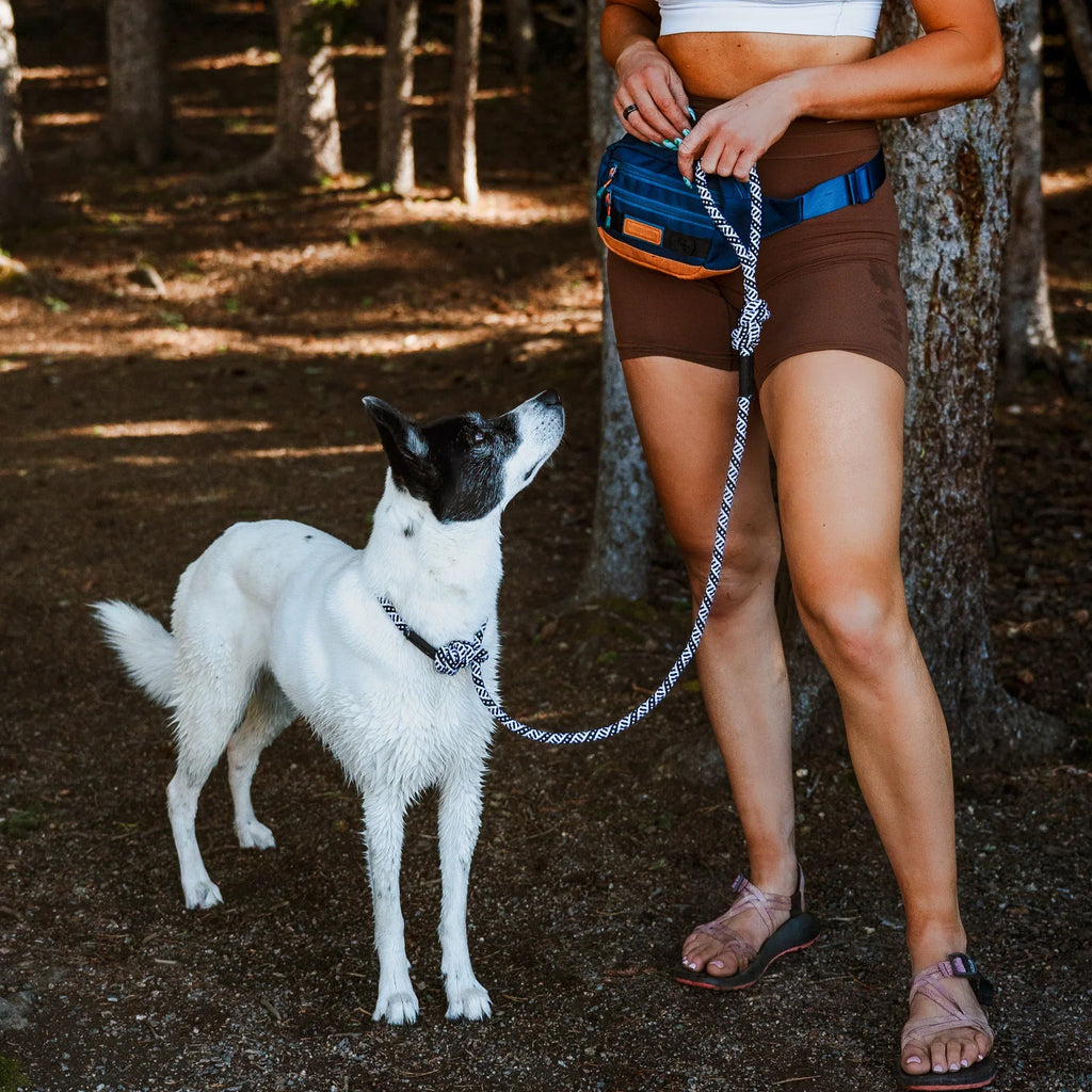 Wilderdog Reflective Slip Leash, Pacific Blue