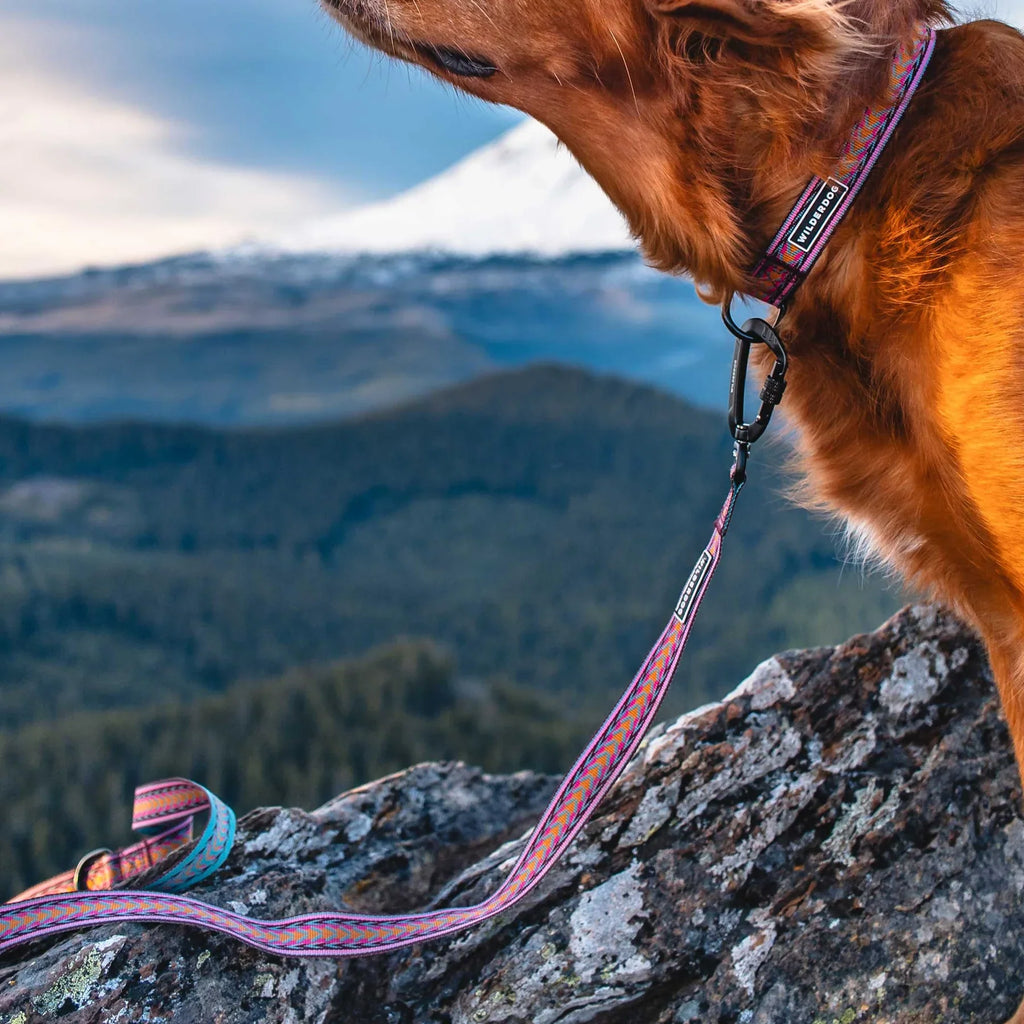 Wilderdog Ultralight Dog Leash, Daybreak