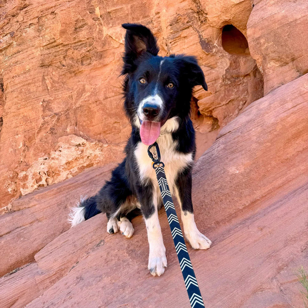 Wilderdog Ultralight Dog Leash, Denali