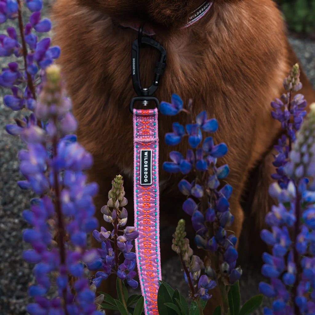 Wilderdog Ultralight Dog Leash, Lilac