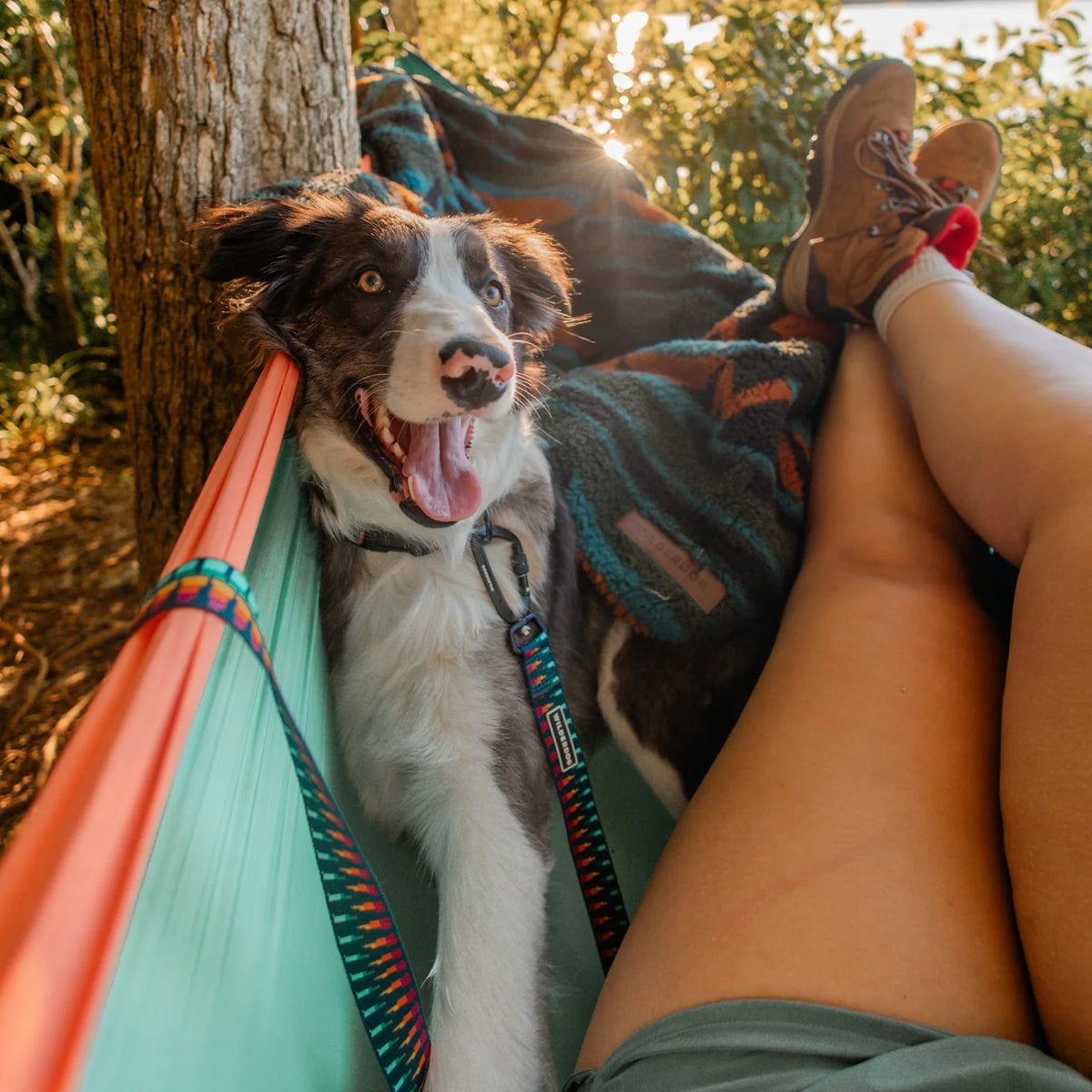 Wilderdog Ultralight Dog Leash, Marina