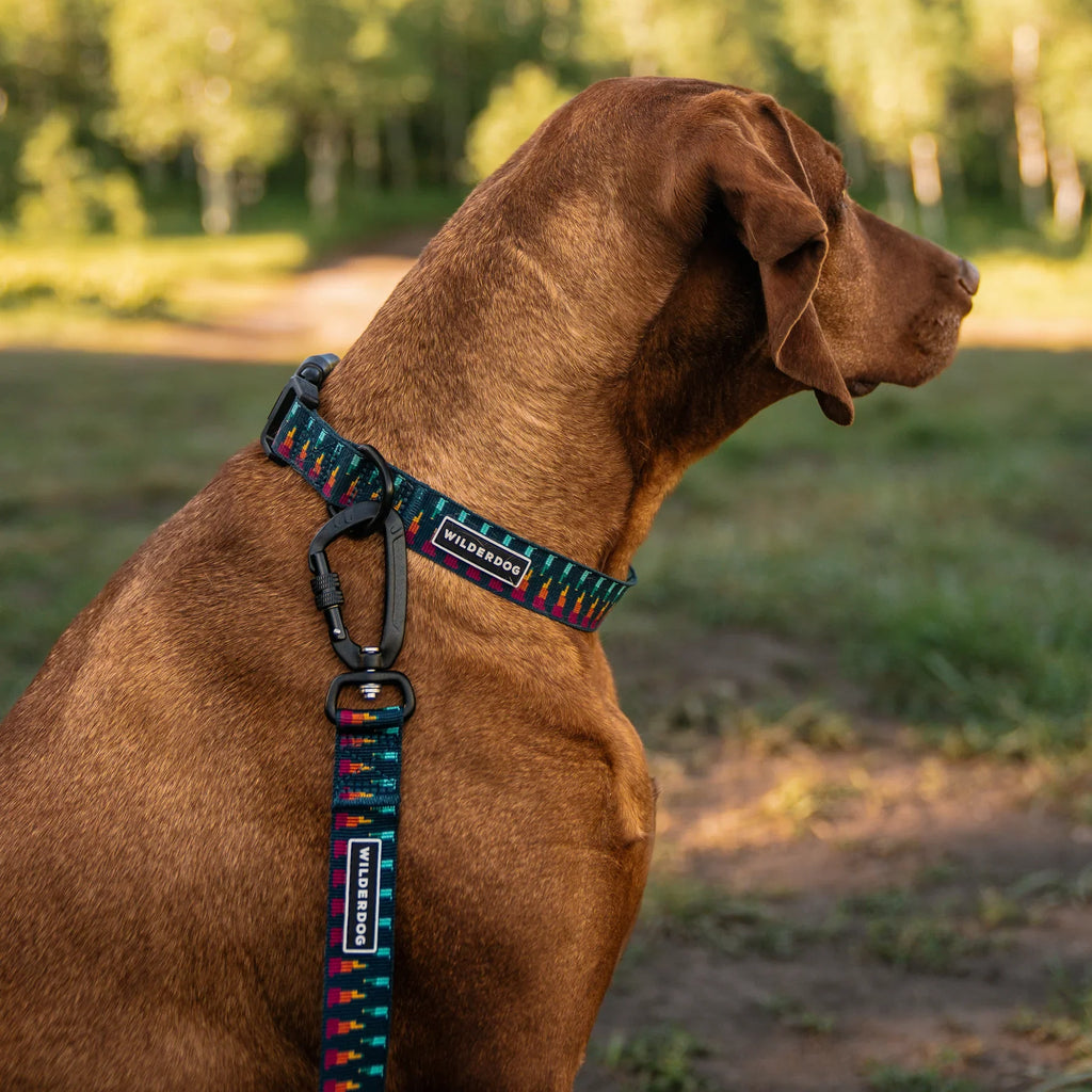 Wilderdog Ultralight Dog Leash, Marina