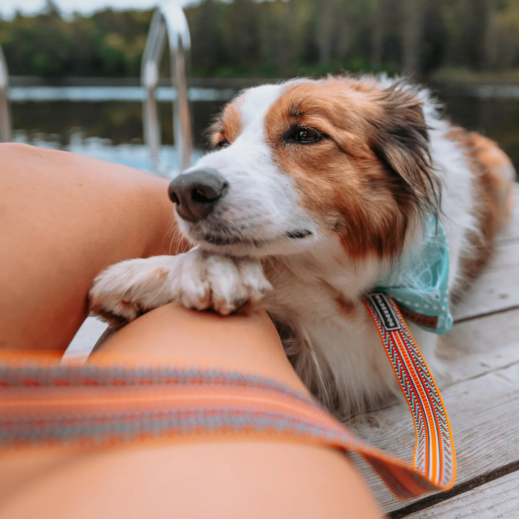 Wilderdog Ultralight Dog Leash, Sienna