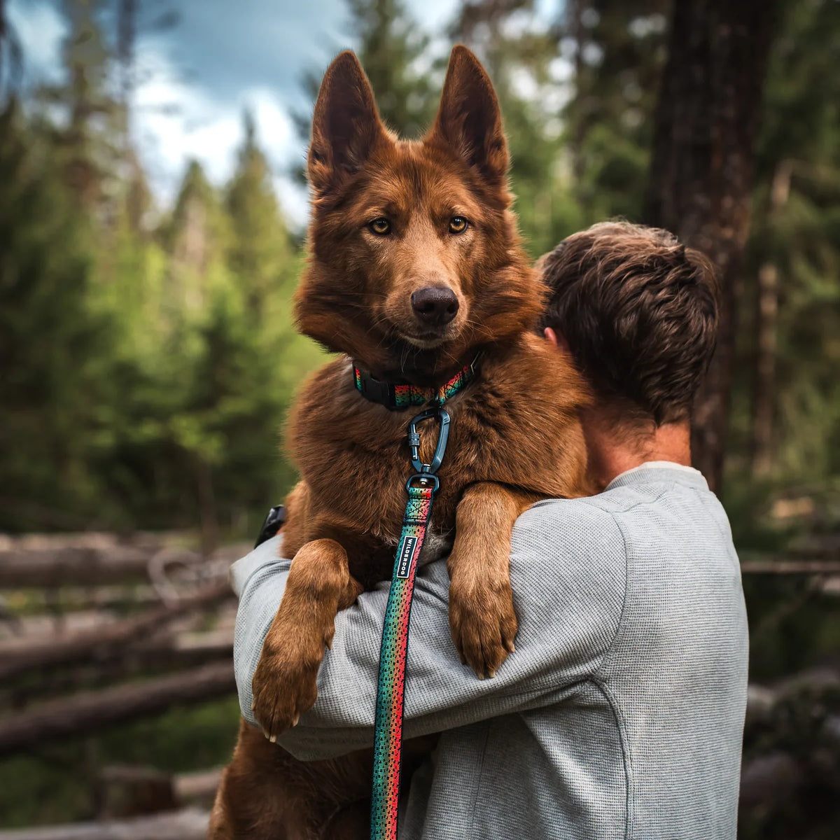 Wilderdog Ultralight Dog Leash, Trout