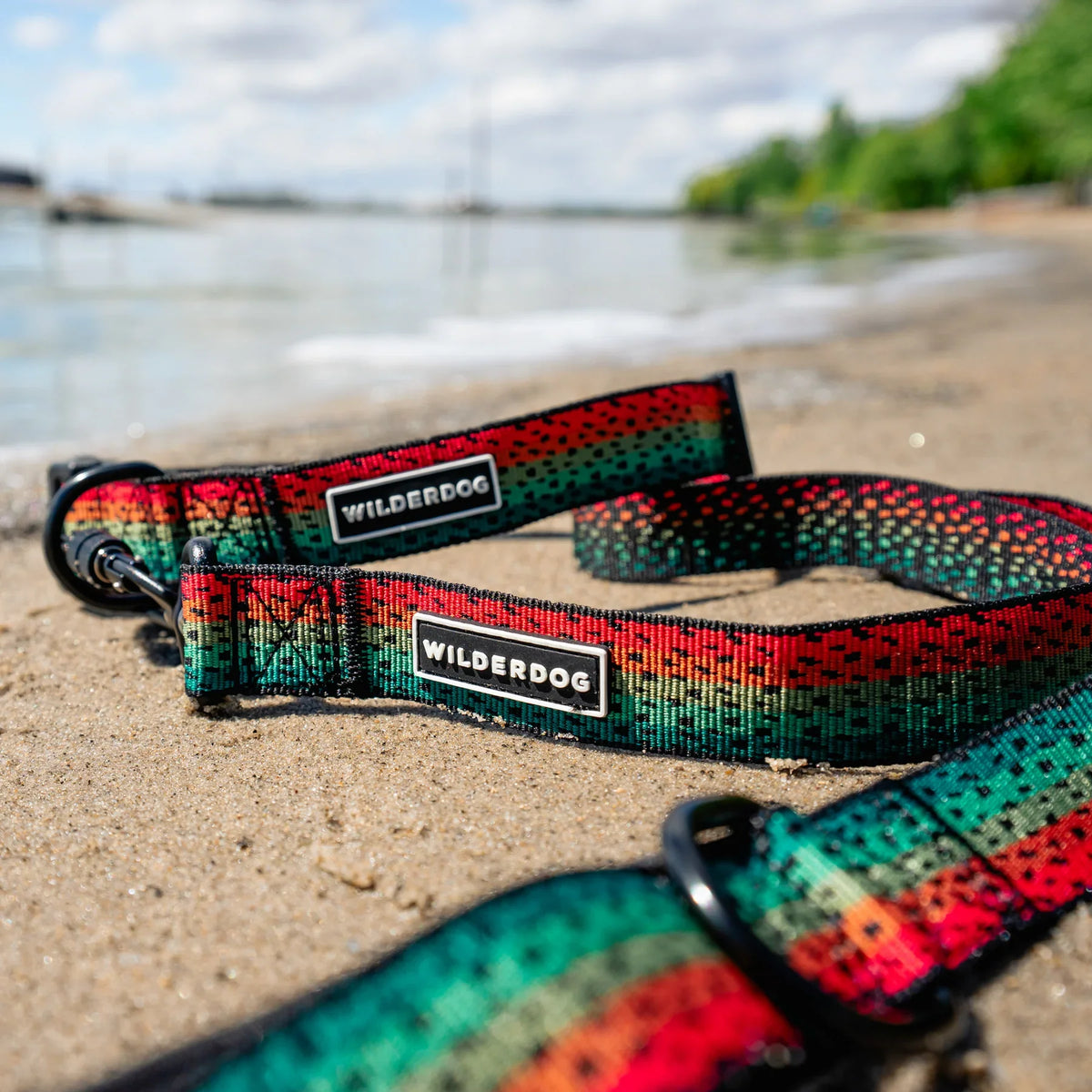 Wilderdog Ultralight Dog Leash, Trout