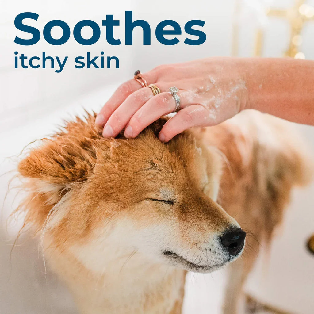 Wondercide Flea & Tick Rosemary Shampoo for Dogs and Cats with Natural Essential Oils