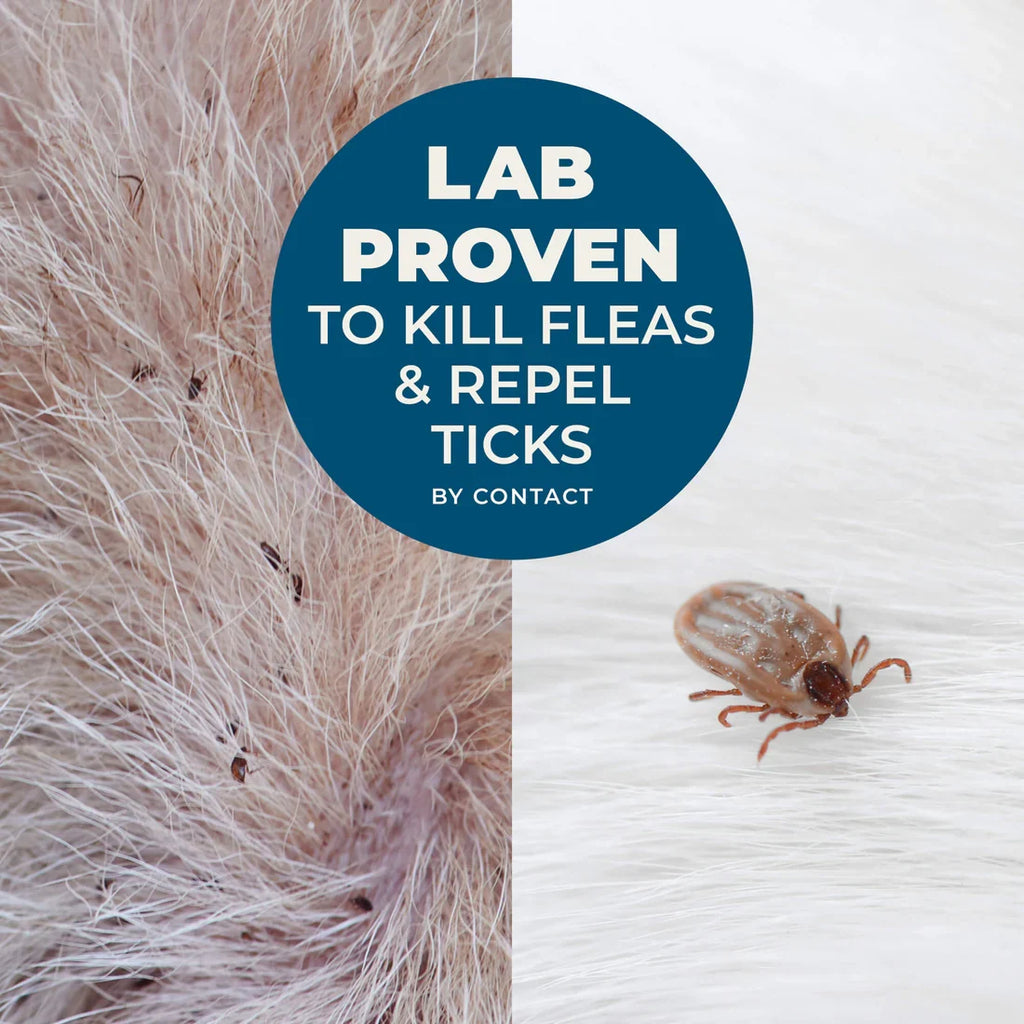 Wondercide Flea & Tick Rosemary Shampoo for Dogs and Cats with Natural Essential Oils