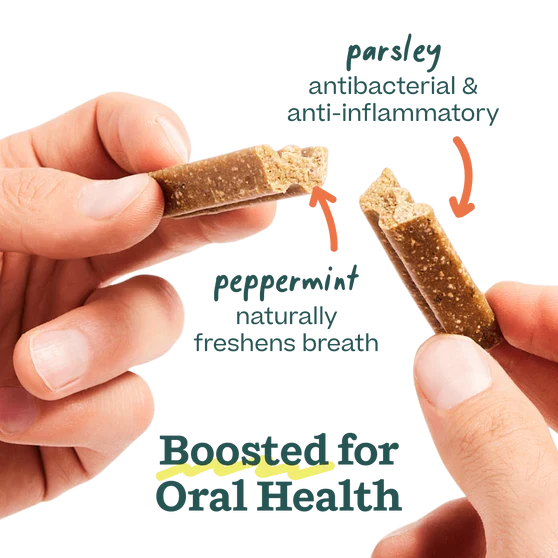 Woof Bite n' Brush Chicken Dental Chew Toy Refills